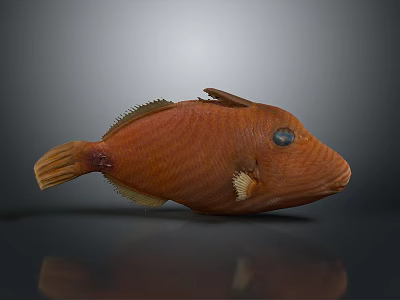 Decorative Orange Fish Figurine With Textured Body And Black Eyes For Home Decor 3d model Decorative Orange Fish Figurine With Textured Body And Black Eyes For Home Decor 3d model