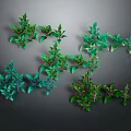 Various Green Plants With Different Leaf Shapes And Color Tones Arranged On Dark Background