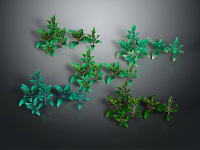 Various Green Plants With Different Leaf Shapes And Color Tones Arranged On Dark Background 3d model