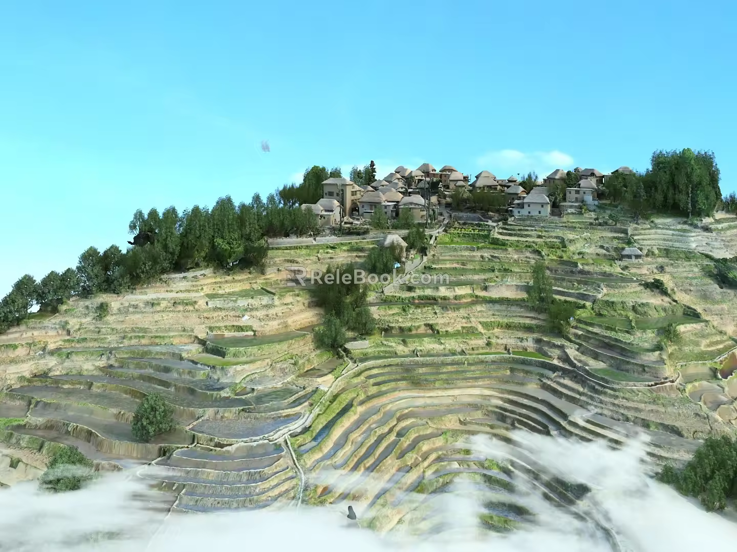 terraced fields 3d model