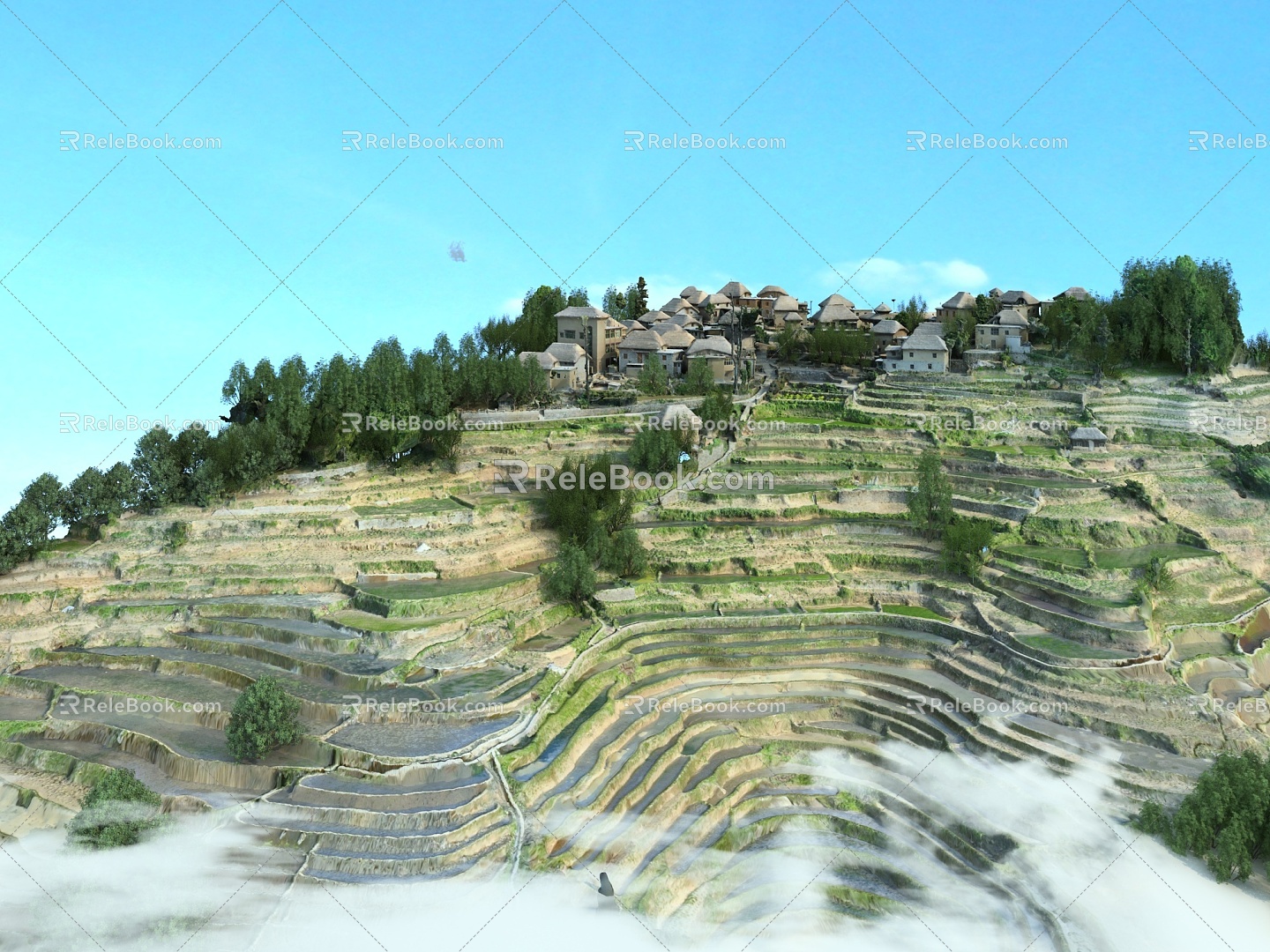 terraced fields 3d model