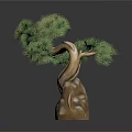 Artistic Indoor Bonsai Pine Tree With Green Foliage And Stone Base