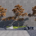 Three Trees with Orange Brown Leaves Against Gray Wall Stone Pavement and Rocks