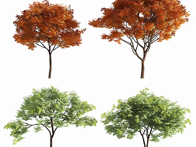 Vibrant Arbor Trees With Orange Red And Green Foliage In Natural Scene 3d model