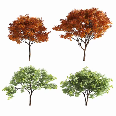 Vibrant Arbor Trees With Orange Red And Green Foliage In Natural Scene 3d model