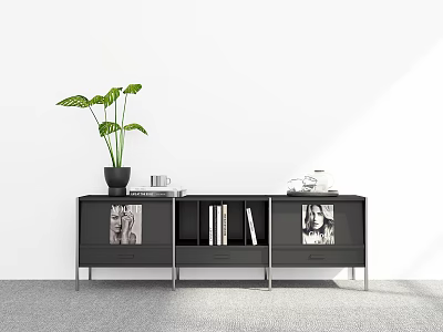 Modern Black TV Stand With Green Plant Books Magazines And Cup On Top 3d model