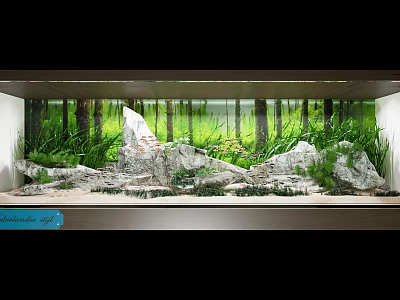 Aquarium Fish Tank With Lush Green Plants Rocks And Natural Forest Background 3d model