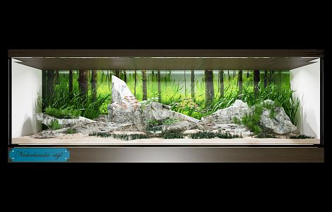 Modern Fish Tank Glass Fish Tank Aquarium Grass Tank Aquarium Tank 3d model