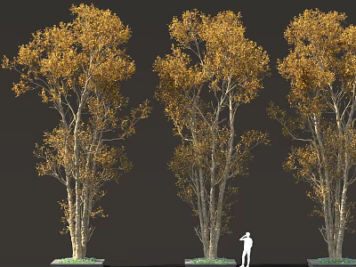Three Yellow Leaved Trees With White Silhouette Figure Standing Under 3d model