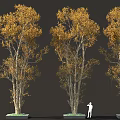 Three Yellow Leaved Trees With White Silhouette Figure Standing Under 3d model