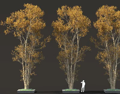 Three Yellow Leaved Trees With White Silhouette Figure Standing Under 3d model