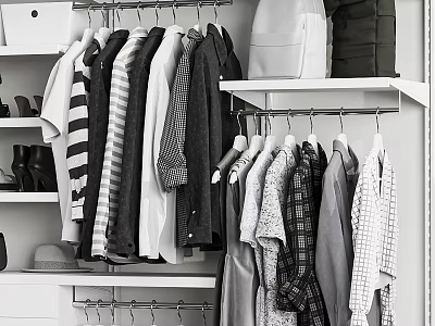 Functional Entryway Hallway Storage With Clothes Bags And Shoe Rack 3d model