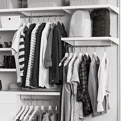 Functional Entryway Hallway Storage With Clothes Bags And Shoe Rack 3d model