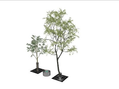 Modern Tree Landscape Street Tree Arbor model