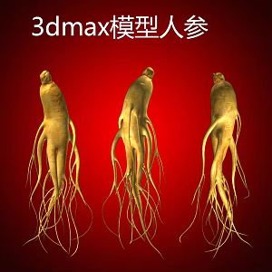 Ginseng 3d model