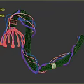 Headphone Speaker Internal Cable Structure With Curved Black Wire And Colorful Connectors