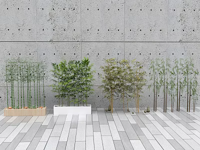 Bamboo Varieties In Modern Minimalist Indoor Space 3d model