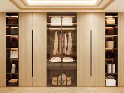 Modern Wooden Wardrobe With Glass Door Clothing Storage Hanging Garments Folded Clothes 3d model