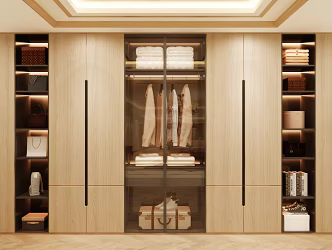 Wardrobe Design Wardrobe Effect Diagram Wardrobe Coat Cabinet Design Coat Cabinet 3d model