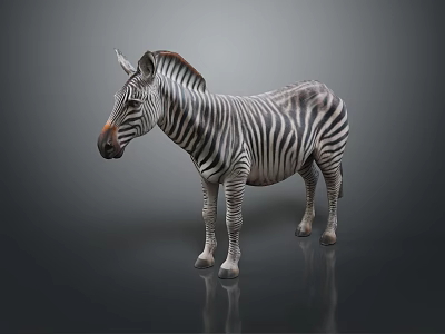 Detailed 3D Zebra Character Model For Game And Movie Scenes 3d model
