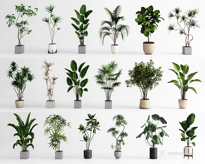 Various Indoor Potted Plants Different Green Species In Modern Ceramic Pots For Home Interior Decor 3d model 