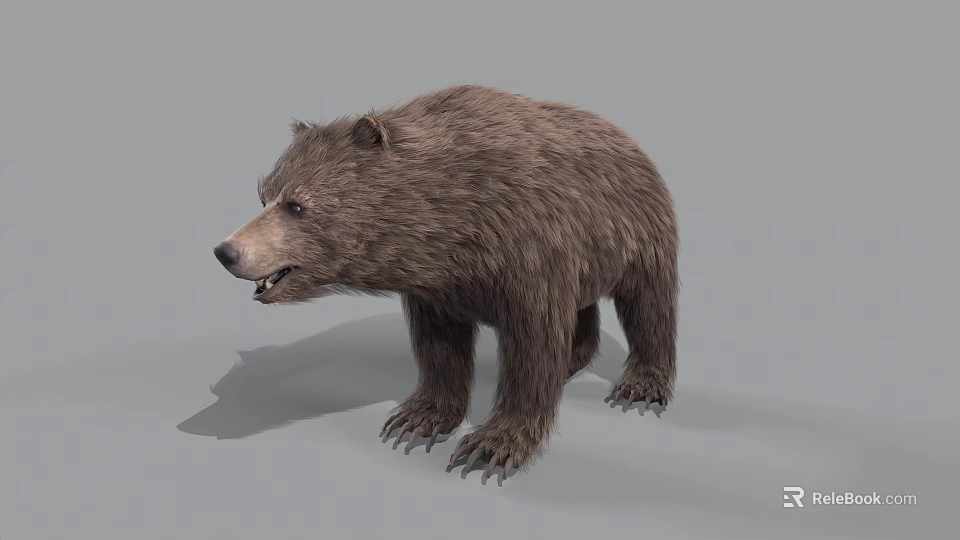 Realistic Brown Bear 3D Render With Detailed Fur And Standing Pose On Gray Background 3d model 