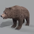 Realistic Brown Bear 3D Render With Detailed Fur And Standing Pose On Gray Background