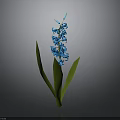 Vibrant Blue Hyacinth Plant With Green Leaves On Single Stem Against Gray Background