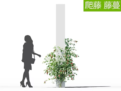 Climbing Vine with Green Leaves and Red Flowers Next to Woman Silhouette 3d model