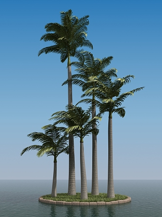 Modern Tree Palm Tree 3d model