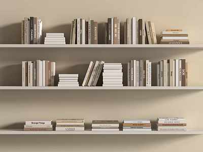 Neatly Arranged Books and Magazines on White Bookshelves with Neutral Tones 3d model