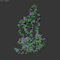 Twisted Vine With Green Leaves And Purple Flowers In Natural Growth Form