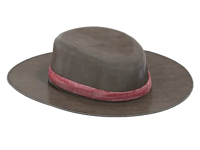 Brown Leather Wide Brim Hat With Red Decorative Band Design 3d model