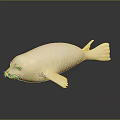 Realistic White Seal Model Placed On Black Smooth Surface With Clear Reflection 3d model