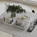 Chic Decorative Ornament Set With Green Plant Vase Aromatherapy Books And Trays On White Table