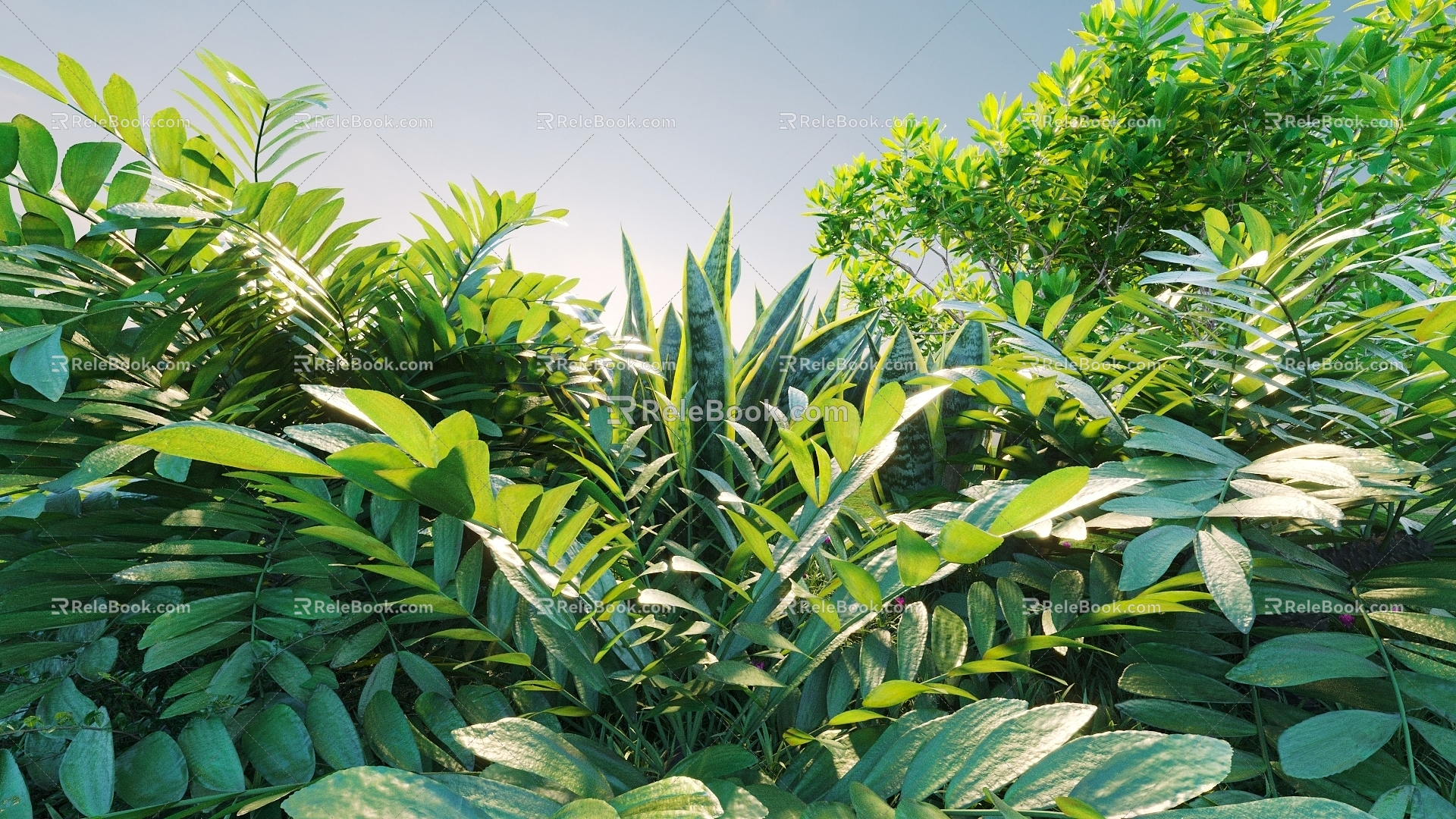 Landscape Shrub Shrub Plant Combination Natural Landscape 3d model