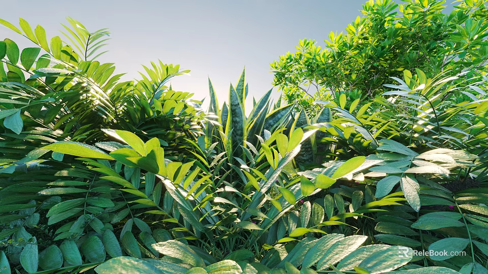 Lush Green Sunlit Shrubs with Vibrant Diverse Leaves in Natural Garden 3d model 