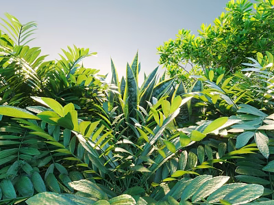 Lush Green Sunlit Shrubs with Vibrant Diverse Leaves in Natural Garden 3d model