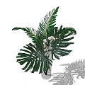 Transparent Glass Vase With Green Monstera Palm Leaves And White Orchid Flowers