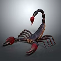Scorpion With Black Body Red Claws And Curved Red Stinger On Gray Background
