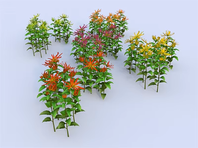Multiple Plants with Multicolored Flowers and Green Leaves Arranged Together 3d model