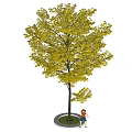 Autumn Tree with Yellow Leaves and Person Standing Under Circular Planter