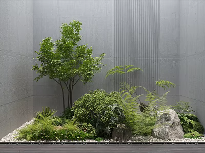 Courtyard Garden Design With Gray Concrete Walls Small Tree Ferns Shrubs Stones And Pebbles 3d model