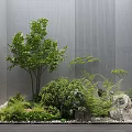 Courtyard Garden Design With Gray Concrete Walls Small Tree Ferns Shrubs Stones And Pebbles