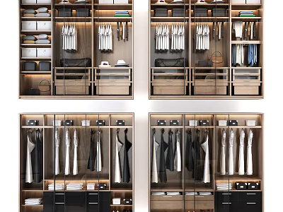 Modern Wardrobe Interior Design With Hanging Rails Drawers And Storage Shelves 3d model