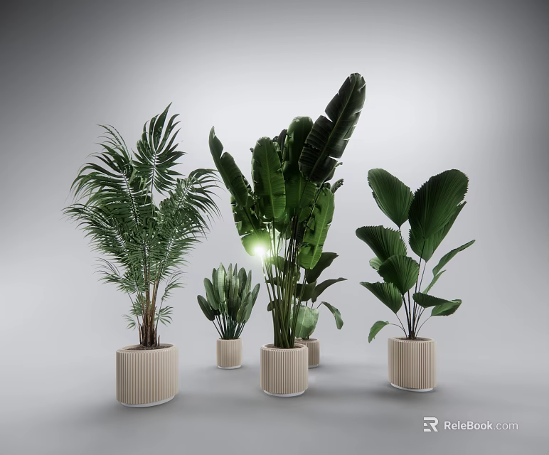 Indoor Potted Plants With Various Green Leafy Species In Modern Ceramic Pots 3d model 