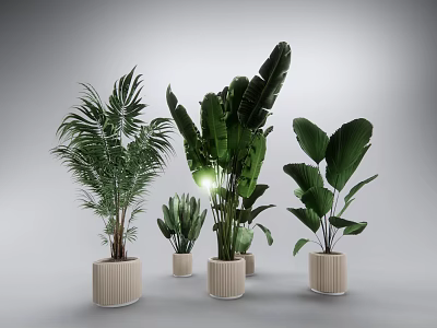 Indoor Potted Plants With Various Green Leafy Species In Modern Ceramic Pots 3d model