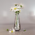 White Daisies with Yellow Centers in Clear Glass Vase and Fresh Green Leaves