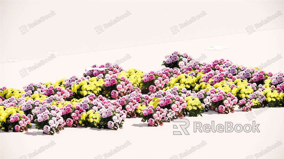 Modern Flower Flower Border Plant Group model