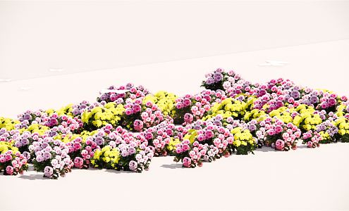 Modern Flower Border Plant Group 3d model